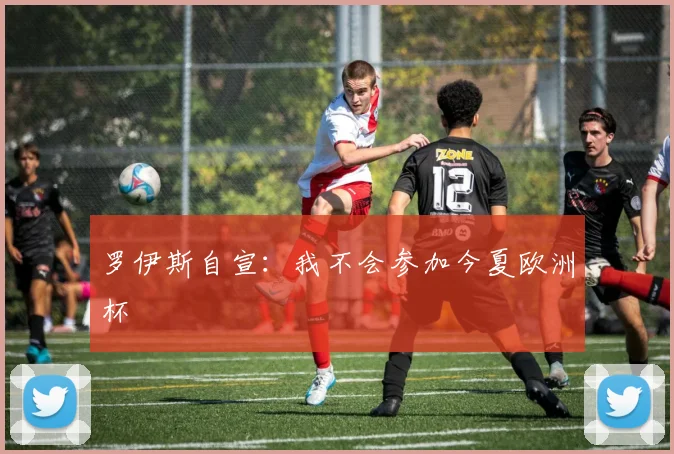 罗伊斯自宣：我不会参加今夏欧洲杯