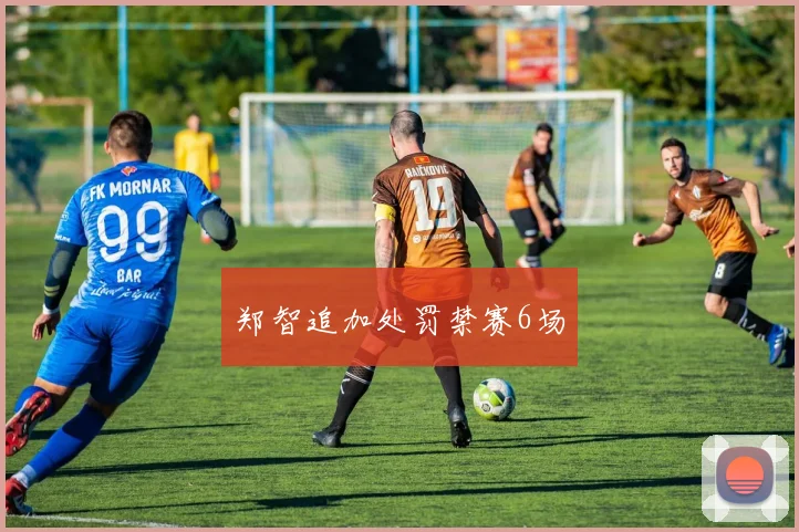 郑智追加处罚禁赛6场