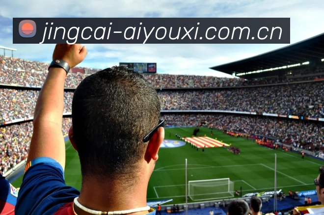 爱游戏体育APP 高清赛事图